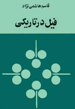 فیل در تاریکی by قاسم هاشمی‌نژاد