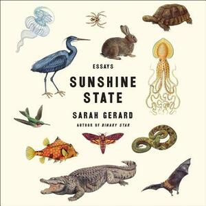Sunshine State: Essays by Sarah Gerard