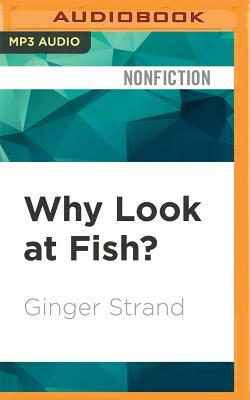 Why Look at Fish? by Ginger Strand