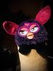 furby_snake's profile picture