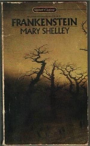 Frankenstein by Mary Shelley