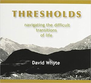 Thresholds: Navigating the Difficult Transitions of Life by David Whyte