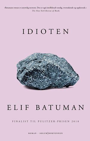 Idioten by Elif Batuman