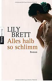 Alles halb so schlimm! by Lily Brett