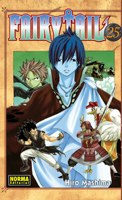 FAIRY TAIL 25 by Hiro Mashima