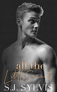 All the Little Secrets by S.J. Sylvis