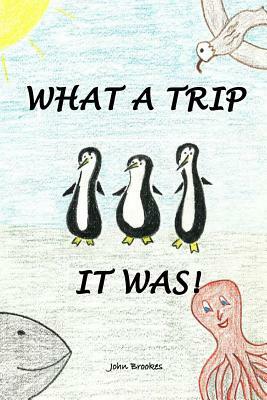 What A Trip It Was by John Brookes