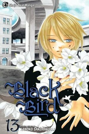 Black Bird, Vol. 13 by Kanoko Sakurakouji