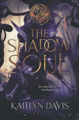 The Shadow Soul by Kaitlyn Davis