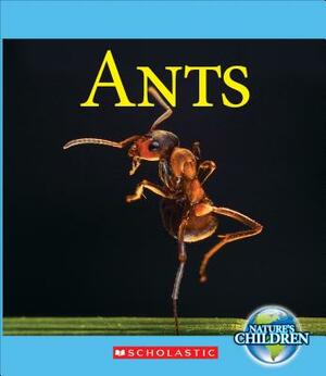 Ants by Josh Gregory