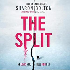 The Split by Sharon Bolton