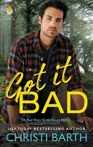 Got It Bad by Christi Barth