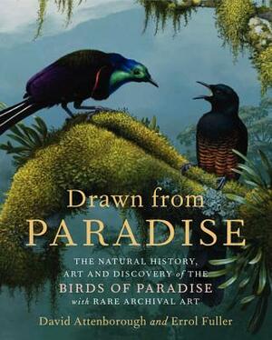 Drawn from Paradise: The Natural History, Art and Discovery of the Birds of Paradise with Rare Archival Art by David Attenborough, Errol Fuller