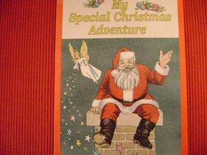 My Special Christmas Adventure by Julia Wilson, Margaret Gibson, Ester Kasepuu