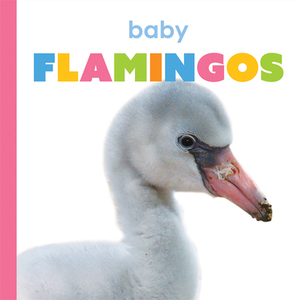 Baby Flamingos by Kate Riggs