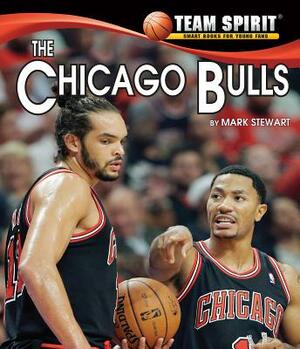 The Chicago Bulls by Mark Stewart