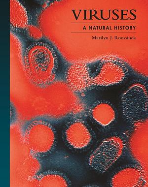 Viruses: A Natural History by Marilyn J. Roossinck