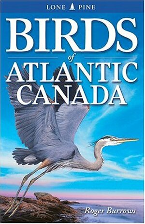 Birds of Atlantic Canada by Roger Burrows