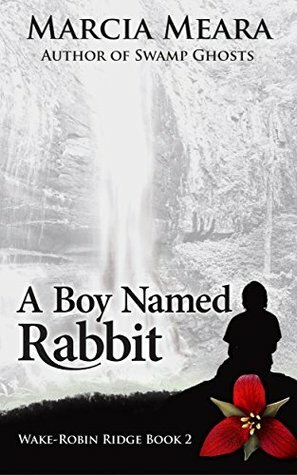 A Boy Named Rabbit (Wake-Robin Ridge #2) by Marcia Meara