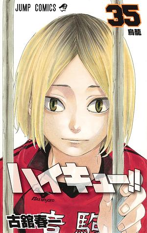 ハイキュー!! 35 by Haruichi Furudate, 古舘春一