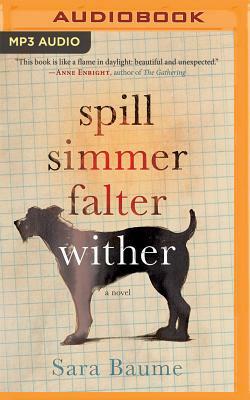 Spill Simmer Falter Wither by Sara Baume