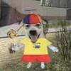 chrisn99's profile picture