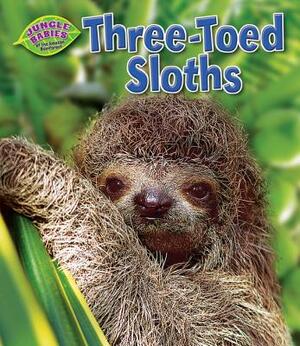 Three-Toed Sloths by Rachel Lynette