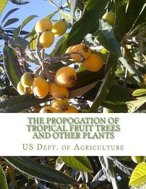 The Propogation of Tropical Fruit Trees and Other Plants: Bureau of Plant Industry, Bulletin 48 by Us Dept of Agriculture