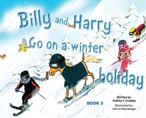 Billy and Harry Go on a Winter Holiday by Andrew Crossley