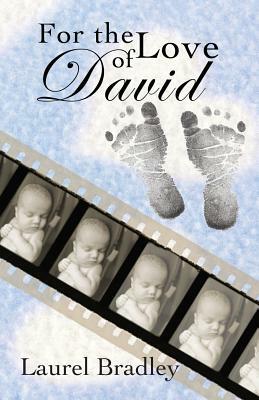 For the Love of David by Laurel Bradley