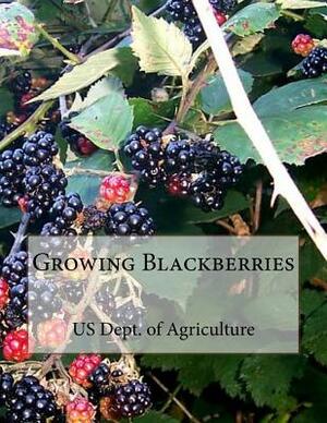 Growing Blackberries by Us Dept of Agriculture