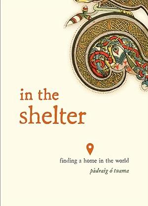 In the Shelter: Finding a Home in the World by Pádraig Ó Tuama