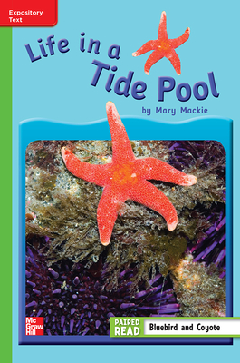 Reading Wonders Leveled Reader Life in a Tide Pool: Beyond Unit 4 Week 3 Grade 3 by 