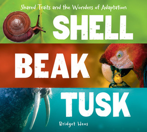 Shell, Beak, Tusk: Shared Traits and the Wonders of Adaptation by Bridget Heos