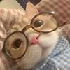 lottie_98's profile picture