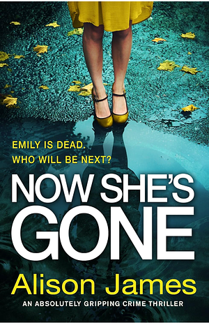 Now She's Gone by Alison James