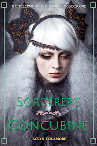 The Sorcerer's Concubine by Jaclyn Dolamore