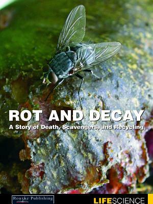Rot and Decay: Decomposing and Recycling by Sarah Levete