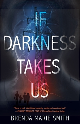 If Darkness Takes Us by Brenda Marie Smith