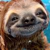 cublite's profile picture
