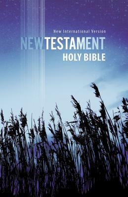Outreach New Testament-NIV by The Zondervan Corporation