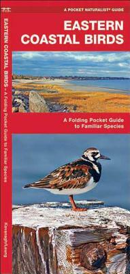 Eastern Coastal Birds: An Introduction to Familiar Species by James Kavanagh, Waterford Press