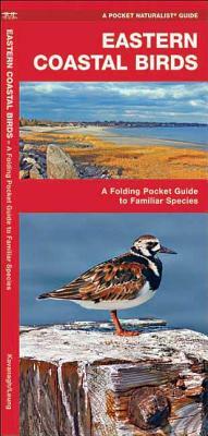 Eastern Coastal Birds: An Introduction to Familiar Species by Waterford Press, James Kavanagh