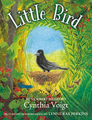 Little Bird by Cynthia Voigt, Lynne Rae Perkins