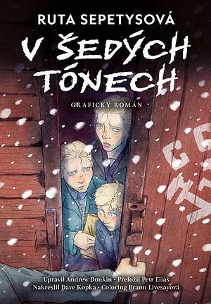 V šedých tónech - grafický román by Andrew Donkin, Andrew Donkin, Ruta Sepetysová, Ruta Sepetys