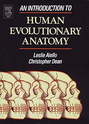 An Introduction to Human Evolutionary Anatomy by Leslie Aiello, Christopher Dean