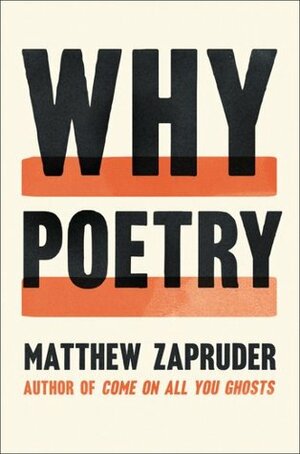 Why Poetry by Matthew Zapruder