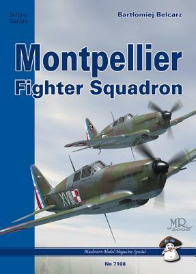 Montpellier Fighter Squadron 1940 by Bartlomiej Belcarz