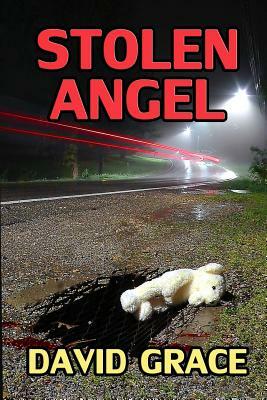 Stolen Angel by David Grace