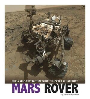 Mars Rover: How a Self-Portrait Captured the Power of Curiosity by Danielle Smith-Llera
